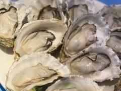 -千岛蚝高压锅生蚝·人参火锅(白云万达店)