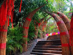 -中国科学院西双版纳热带植物园