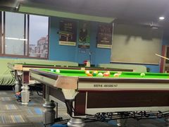-新新潘晓婷台球俱乐部(周浦店)