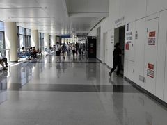 -首都医科大学附属北京天坛医院