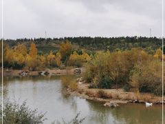 -鄂尔多斯野生动物园