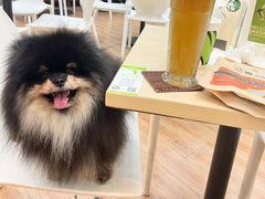 -813芭依珊 BAESAn(皇冠十畝地店)