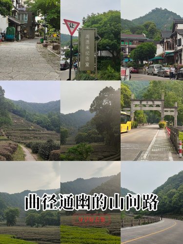 独坐幽篁里，听风叹息
