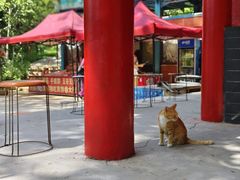 -雪山彩虹谷景区