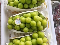 -马陆小张葡萄园农家乐