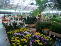 -秦美花卉(天朗·莱茵小城2期店)