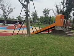 -春花秋色城市公园