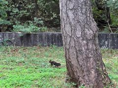 -北陵公园