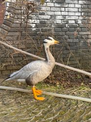 -红砖美术馆-红砖院子·宴会厅