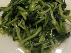 清炒鸡毛菜-19号私房菜(云南路店)