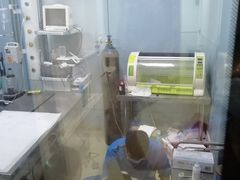 -美联众合宠物医院·爱萌分院·内外科·猫科中心