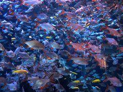 -成都浩海立方海洋公园