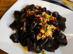 黄山木耳-百利鸽王(紫薇路店)