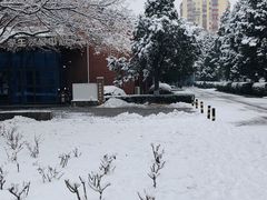 -北京邮电大学