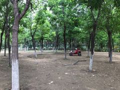 -永定河休闲森林公园