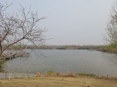 -西安浐灞国家湿地公园