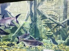 -梦幻海洋王国(吾悦广场张家港店)