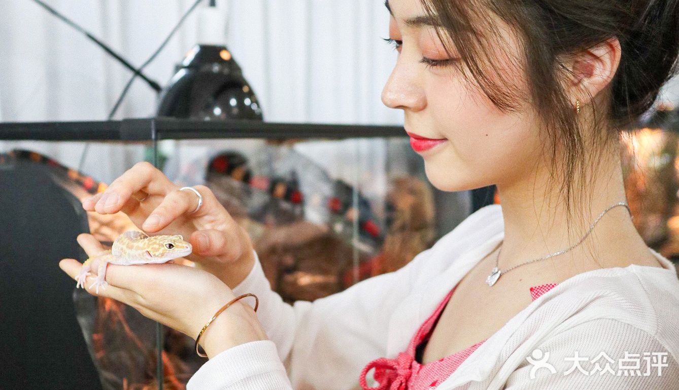 六一好去处 | 重庆首个超有意思的爬宠展🐸