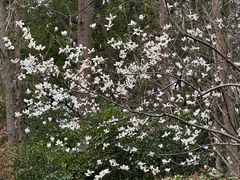 -徐家汇源景区-衡山公园