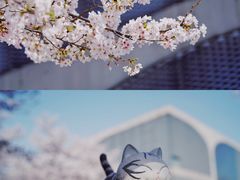 -龙美术馆(西岸馆)