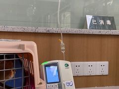 -联合动物医院(光谷诊疗中心)