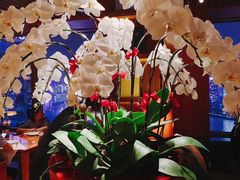 大堂-非常时髦餐厅VUE Restaurant(外滩茂悦大酒店)