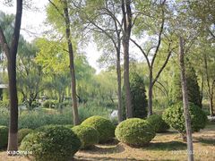 -燕郊植物园