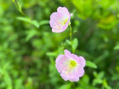 -金银湖国家城市湿地公园