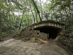 -上海佘山国家森林公园天马山园