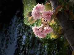 -象湖生态湿地公园