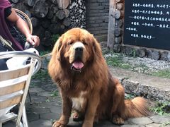 -田德能咖啡博物馆