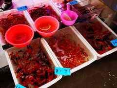 -桂林市花鸟市场