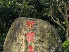 -野狸岛
