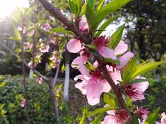 -上海市保健医疗中心(华东疗养院)