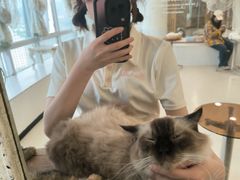 -共舞时光猫咖·狗咖(新街口店)