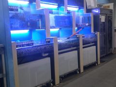 -老虎滩大连海鲜烧烤(建邺云锦路总店)