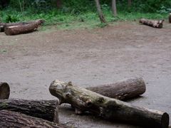 -西湖风景区-江洋畈生态公园