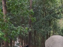 -火炉山森林公园