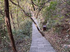 -九曜山