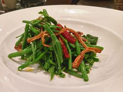 昭通椒丝油鸡枞麦瓜尖-泓0871臻选云南菜·味庄