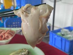 生蚝-花苑美食横琴生蚝火锅(拱北粤华路店)