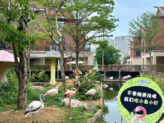 -灵玲国际马戏城