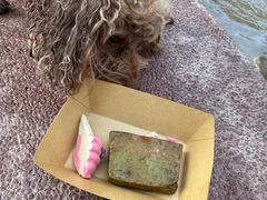 -帕帕拉兹宠物(亚洲旗舰店)