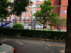 -对外经济贸易大学附属中学