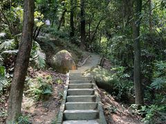 -火炉山森林公园