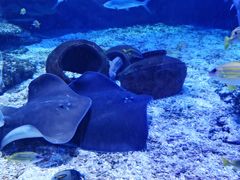 -海合安武汉极地海洋公园