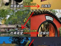 -成都大熊猫繁育研究基地