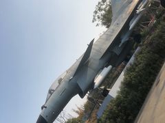 -成飞公园