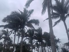 -白沙门生态公园