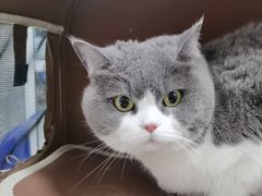 -美美宠物诊疗中心·异宠·骨科(滨江东信分院)